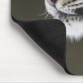 Tapis De Souris Snow leopard (Uncia uncia) (Coin)