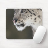 Tapis De Souris Snow leopard (Uncia uncia) (Avec souris)