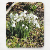 TAPIS DE SOURIS SNOWDROPS (Devant)