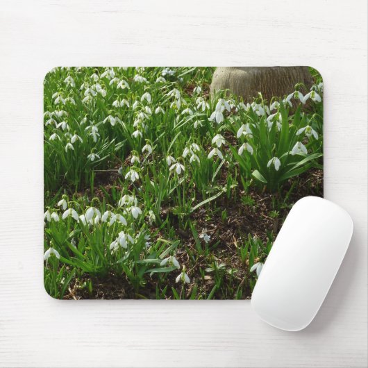 Tapis De Souris Snowdrops (Avec souris)