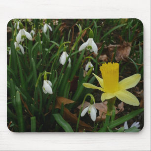 Tapis De Souris Snowdrops et Daffodil Spring Floral