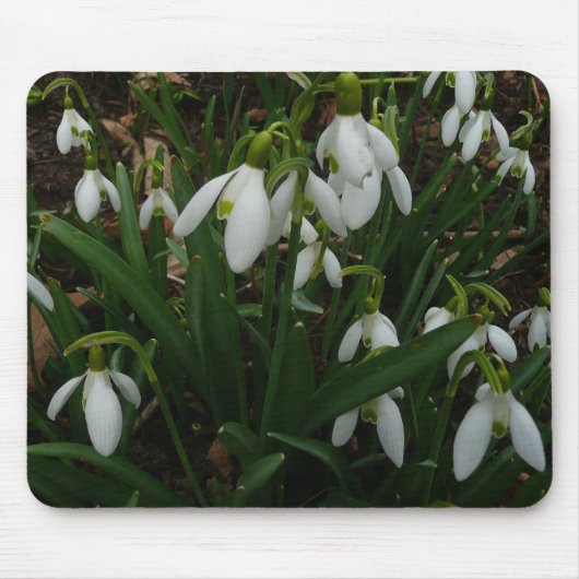 Tapis De Souris Snowdrops I (Devant)