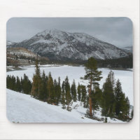 Snowy Ellery Lake California Winter Photographie