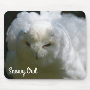 Tapis De Souris Snowy Owl
