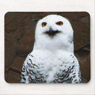 Tapis De Souris Snowy Owl mpcn
