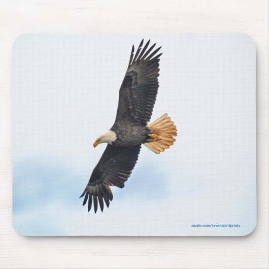 Tapis De Souris Soaring Bald Eagle Wildife Photo Art (Devant)