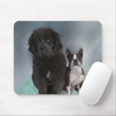 Tapis De Souris Soeurs (Avec souris)