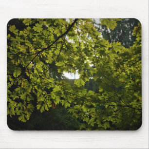 Tapis De Souris Soleil à travers Feuilles verts