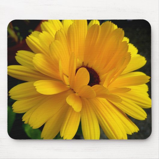 Tapis De Souris Soleil couchant ! (Devant)