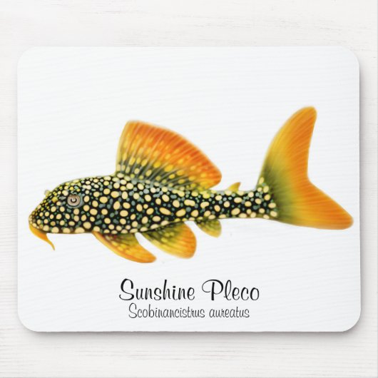 Tapis De Souris Soleil Pleco Mousepad de Goldy (Devant)