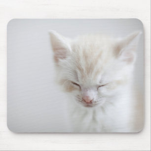 Tapis De Souris Sommeil blanc de chaton