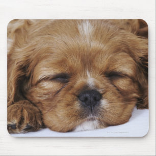 Tapis De Souris Sommeil cavalier de chiot d'épagneul du Roi