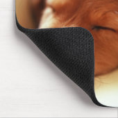 Tapis De Souris Sommeil de teckel (Coin)