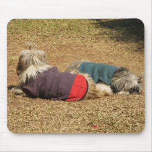 Tapis De Souris Sommeiller dans Nong Khai