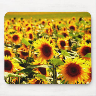 Tapis De Souris Sonnenblume