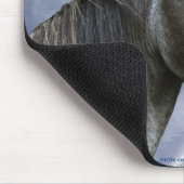 Tapis De Souris Sorraia Espagnol Mustang Stallion Horse & Mousepad (Coin)