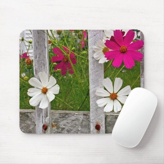 Tapis De Souris Sortir (Avec souris)