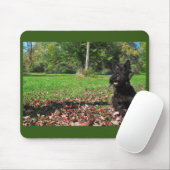 Tapis De Souris Souriant dans les feuilles (Avec souris)