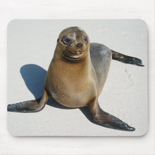 Tapis De Souris Sourire (Devant)