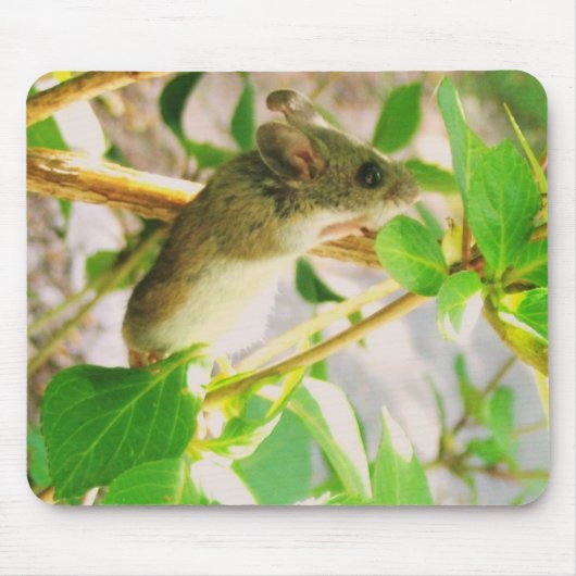 Tapis De Souris Souris (Devant)