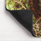 Tapis De Souris Souris à chenille Fox Moth (Coin)
