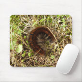 Tapis De Souris Souris à chenille Fox Moth (Avec souris)