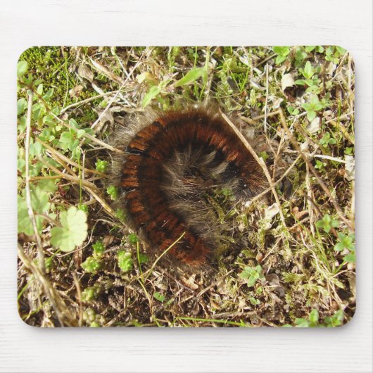 Tapis De Souris Souris à chenille Fox Moth (Devant)