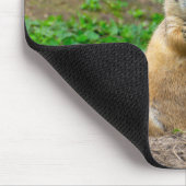 Tapis De Souris Souris à queue noire pour chien de prairie (Coin)