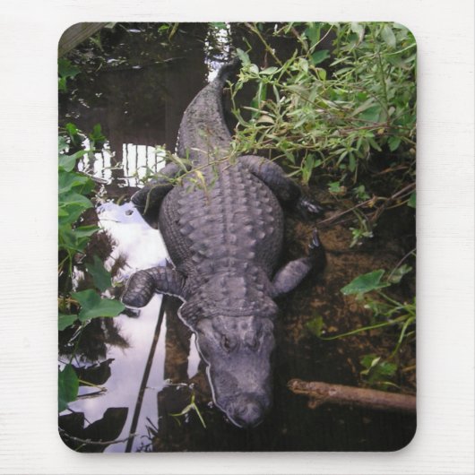 Tapis De Souris Souris Alligator (Devant)