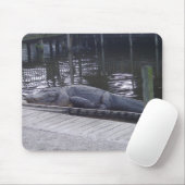 Tapis De Souris Souris Alligator (Avec souris)