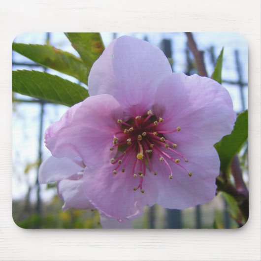 Tapis De Souris Souris avec fleur (Devant)