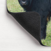 Tapis De Souris Souris Beled Galloway (Coin)