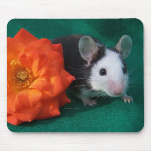 Tapis De Souris Souris blanche noire et rose de thé orange