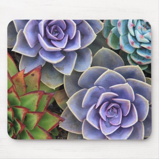 Tapis De Souris Souris Bouquet Succulente (Devant)