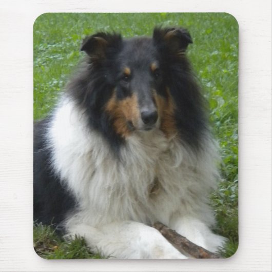Tapis De Souris Souris Collie arrondie (Devant)