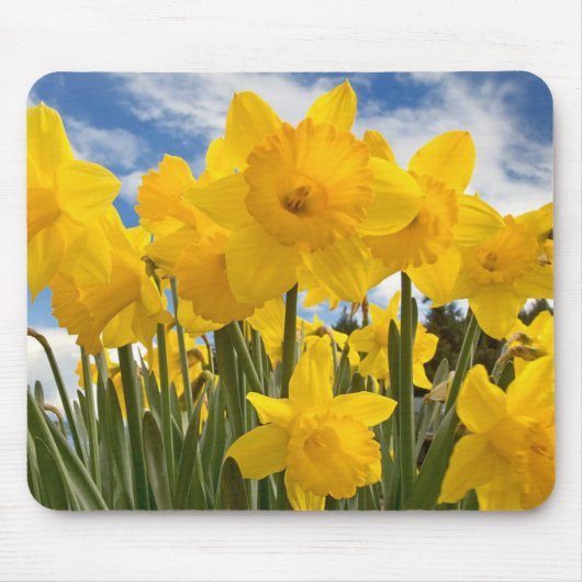 Tapis De Souris Souris-Daffodiques (Devant)