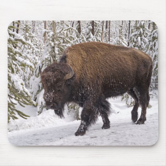 Tapis De Souris Souris de bison américain (Devant)