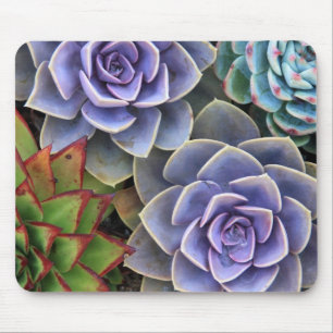 Tapis De Souris Souris de bouquet succulent