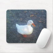 Tapis De Souris Souris de canard (Avec souris)