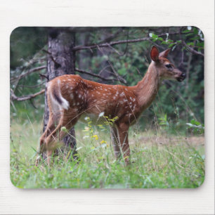 Tapis De Souris Souris de cerfs