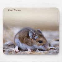Souris de cerfs sur un mousepad
