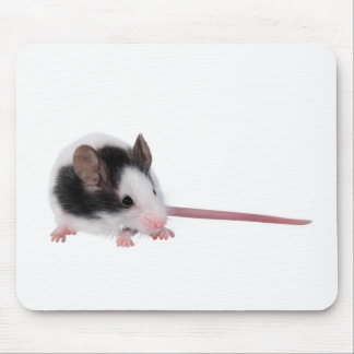 Tapis De Souris Souris de Chambre