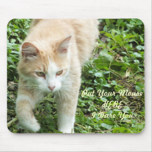 Tapis De Souris Souris de chat de la Jungle du Sahara