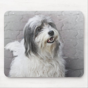 Tapis De Souris Souris de chien