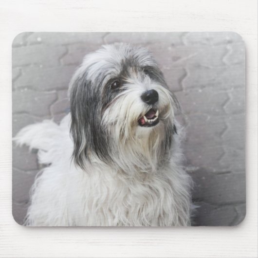 Tapis De Souris Souris de chien (Devant)