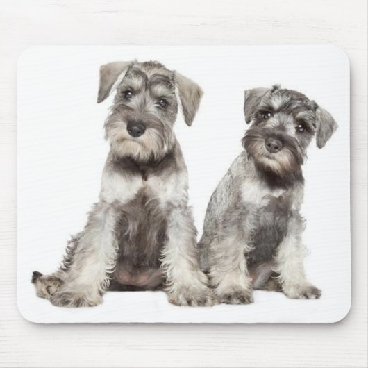 Tapis De Souris Souris de Chien Chien à chienne minuscule gris (Devant)