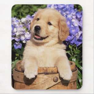 Tapis De Souris Souris de chien coquelicot roux