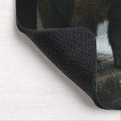 Tapis De Souris Souris de la cascade de l'ours (Coin)
