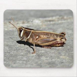 Tapis De Souris Souris de sauterelles à deux bandes