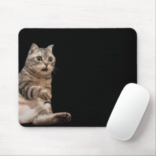 Tapis De Souris Souris de souris de chat choqué